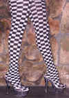 fullg.jpg (53233 bytes)